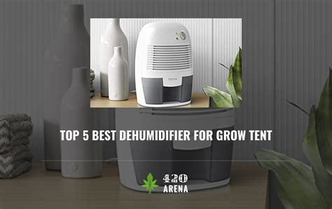 The Ultimate Guide to Choosing the Right Dehumidifier and Humidifier for Your Grow Tent