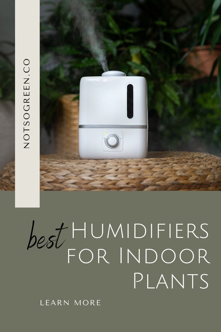10 best dehumidifier for grow tent Artofit